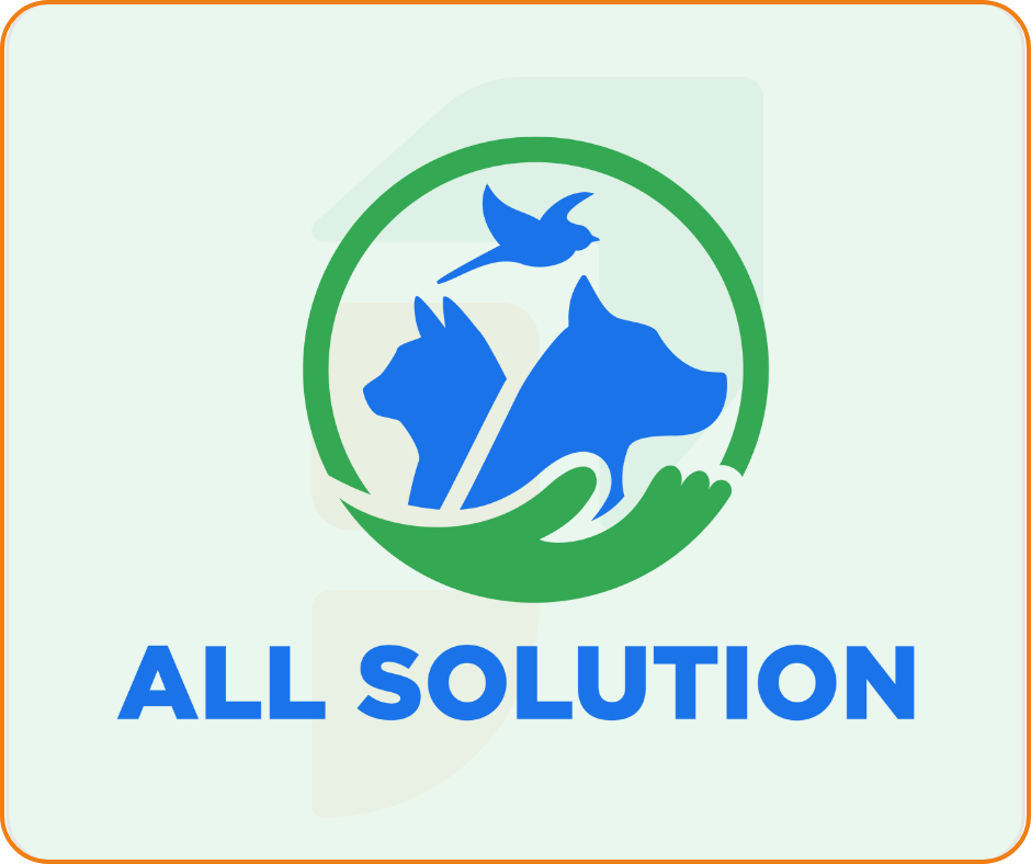 All Solution